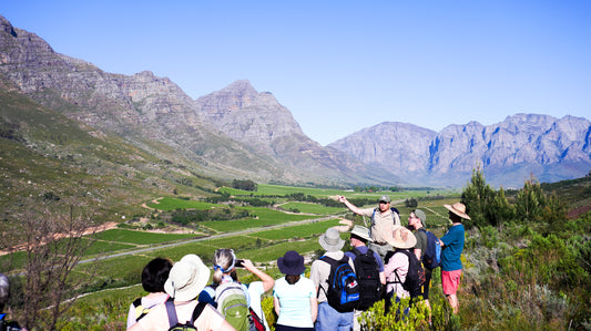Breedekloof Camino Group Hike / 16-21 November 2025